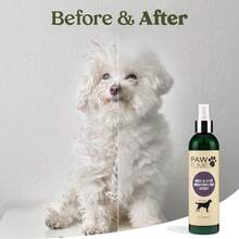 Pawfume Dog Shampoo And Conditioner – Hypoallergenic Dog Shampoo For Smelly Dogs – Best Dog Shampoos &Amp; Conditioners – Probiotic Pet Shampoo For Dogs – Best Dog Shampoo For Puppies (Blue Ribbon) - Conditioning Moisturizing Spray - View 6