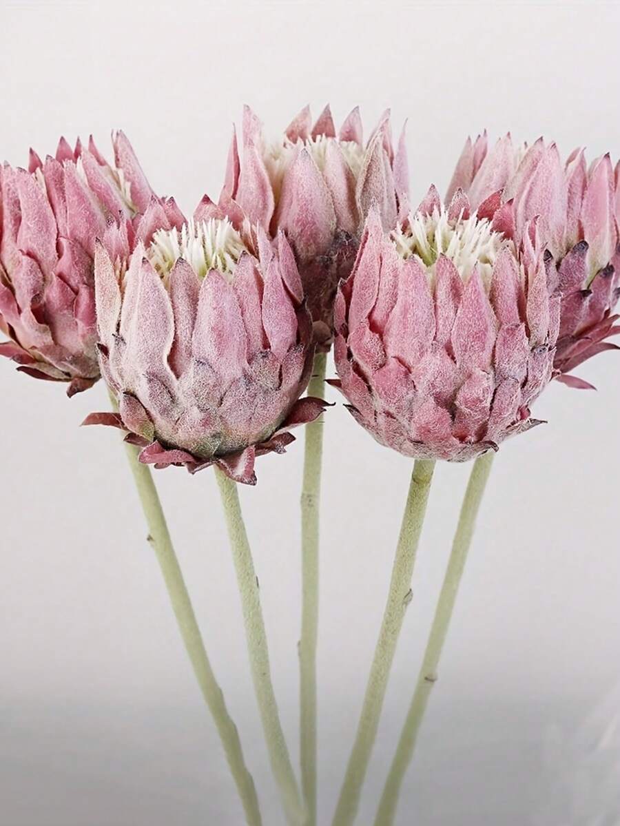 5Pcs Luxurious Nordic Thistle Artificial Flower - Plush Flocked Emperor Bouquet For Home Decor, Weddings & Photography Props - Multicolor - View 1