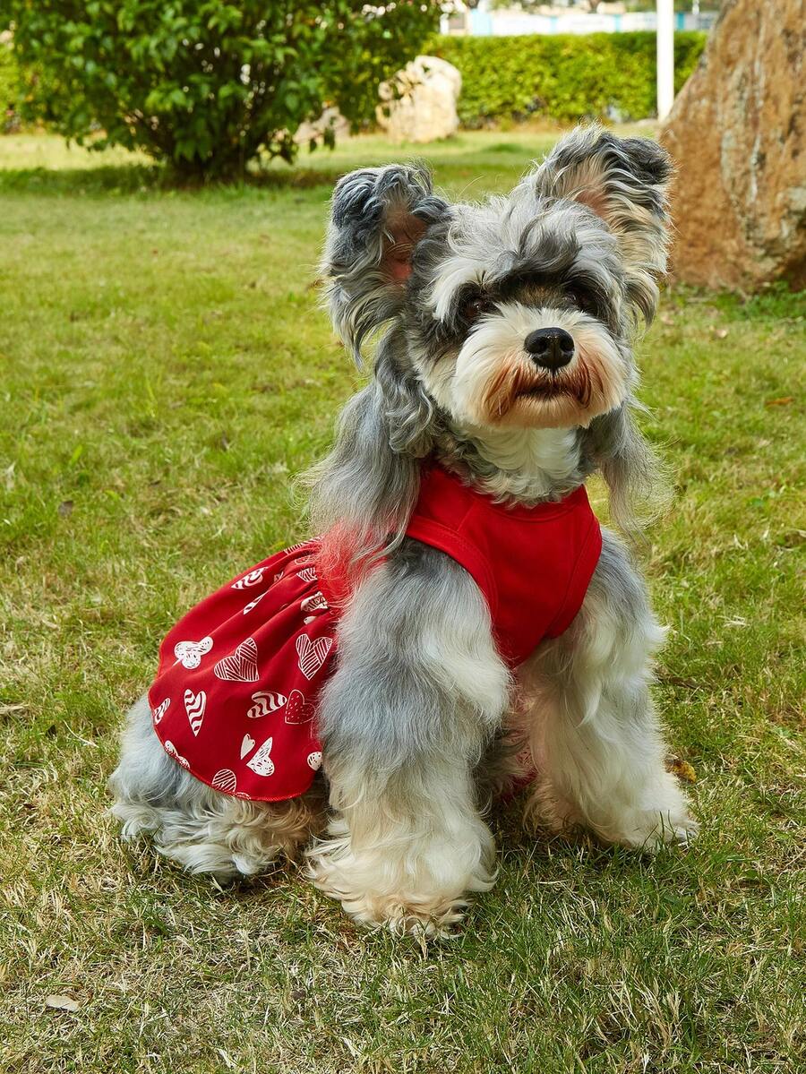 1pc Spring/Summer Colorful Floral Dress, Fashionable Elegant Pet Dress, Comfortable, Kawaii Cat/Dog Clothes, Cute Soft Breathable Animal Apparel