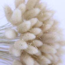 101pcs Pampas Grass Bouquet - Artificial Rabbit Tails For Home Vase Decor, Boho Faux Flowers Arrangement, Versatile For Christmas, Halloween, Thanksgiving, Valentine'S Day, Wedding Party Decoration,Fall Decor,Autumn