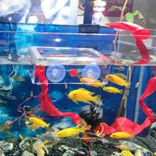1pc Aquarium Fish Tank Feeder, Transparent Suspended Fixed Fish Feeder, Prevent Food Scattering, Protect Water Quality, Suction Cup Feeding Ring, Suitable For Goldfish, Clownfish, Carp, Tropical Fish, And Other Fish, Aquarium Supplies