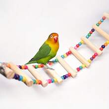 1 pieza Escalera de escalada para pájaros, juguete para roer con cuentas de colores para loros, escalera de pie de madera sólida, accesorios para jaula de pájaros, suministros para pájaros, escalera de escalada y columpio de loro de madera natural duradera con cuentas vibrantes, múltiples niveles para habilidades cognitivas y juego, ideal para todas las especies de aves - Multicolor - Ver 13
