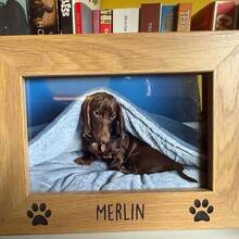 Personalized Dog Photo Frames: Custom Engraved Pet Photo Frames, Pet Memorial Gifts
