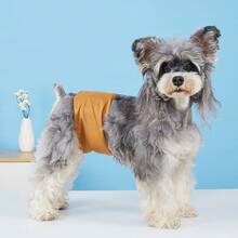 1pc Dog Male Diapers/Pants, Reusable Washable Waterproof Pet Belly Bands, Breathable Dog Sanitary Pads, Comfortable And Reusable For Dogs - Grey - View 7