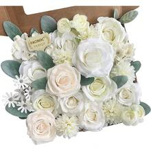 White, Ivory, Cream