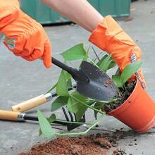 Juego de jardinería; Para plantar y cultivar flores, plantas de maceta en el hogar, pala de hierro, pico, rastrillo, herramientas para excavar al aire libre, pequeña herramienta para recoger conchas, herramientas de jardinería, juego de barro para niños.