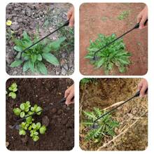 Outils de désherbage, outils de désherbage de jardin, outils de désherbage de jardin portables, outils de désherbage pour le déracinement, désherbeur manuel forgé en acier au manganèse à 4 dents pour potager, arrière-cour, ferme, plantation et désherbage