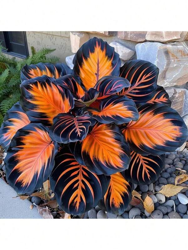 100 Barium Potassium Seeds Beneficial To Insects Blossom Year-Round Giant Lotus Flowering Species Drought-Resistant Outdoor Planting Colorful Tropical Perennial Plants Cold-Resistant And Suitable For All Seasons, Suitable For DIY Garden, Family Garden, Flowerpots And Courtyards-Ideal Gardening Gifts