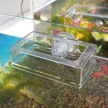 1pc Aquarium Fish Tank Feeder, Transparent Suspended Fixed Fish Feeder, Prevent Food Scattering, Protect Water Quality, Suction Cup Feeding Ring, Suitable For Goldfish, Clownfish, Carp, Tropical Fish, And Other Fish, Aquarium Supplies