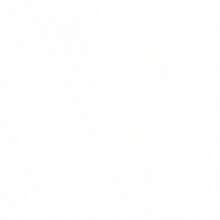 Zyy-Carnival 7pk Full Dog Set - Black - View 4