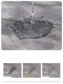 Schwarz-Weiß Kamelien Blumen Badematte, Blumen Badematte, rutschfeste Badematte, Badezimmermatte, schnell absorbierend, schnell trocknend, rutschfest, saugfähig, schnell trocknend, Blumenmuster, Schwarz-Weiß Kamelien Blumen Badematte, weiche saugfähige Matte geeignet für Küche und Badezimmer Eingang, Zuhause Badezimmer Eingang saugfähige Matte, rutschfeste schnell trocknende Fußmatte Badezimmerboden Matte Badezimmer Küche Dekoration