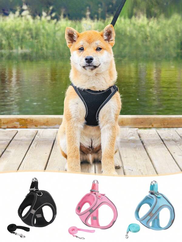 Pet Harness & Leash Set, Reflective Breathable Mesh Vest Style Cat Dog Harness With Leash For Walking