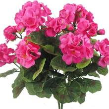 2 Stücke künstliche Begonienblume, Simulation Geranie, Simulation Grünpflanze Künstliche Blume, geeignet zum Aufstellen im Wohnzimmer, Schlafzimmer, Büro, moderne Heimdekoration, Raumdekoration Geschenkidee