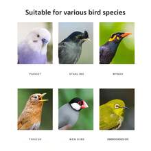 Bird Bath For Cage,Bird Bath Tub,Hanging Birdbath Bird Cage Supplies With Hooks,Bird Cage Accessories Parrot Bathing Tub For Small Birds Canary Budgies Parrots - View 5