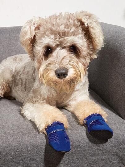 Summer Dog Shoes, Pet Casual Breathable Mesh Soft Bottom Shoes, Indoor Shoes For Teddy & Poodle