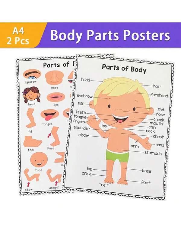 2 peças de pôsteres de decoração para sala de aula pré-escolar com texto para aprender partes do corpo, materiais escolares para casa, pôster de educação escolar