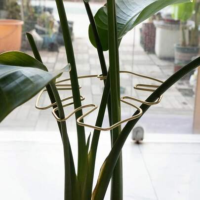 1pc Metal Turtle Shell Leaf Shaped Plant Support Rack - Durable Monster Clip, Unique Design Fit For Climbing Plants, Tortoise Shell Bamboo Clamp, Ideal Plant Support For Healthy Growth