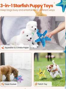 狗狗咀嚼玩具 - 耐用吱吱作响的海星玩具、宠物出牙玩具、捉迷藏喂食器、海星形状互动玩具