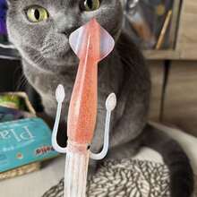 鱿鱼拉面叉、餐厅叉、水果叉、餐具、午餐配件，非常适合户外旅行、家庭聚会、派对用品。非常适合家庭厨房和餐厅。 - 彩色 - 查看 4