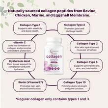 Multi Collagen Pills For Women & Men, 240 Capsules | Type I, III, V, X - Hydrolyzed Collagen Peptides With Biotin, Hyaluronic Acid & Vitamin C | Hair, Skin, Nail & Joint Support - 其他 - 查看 7