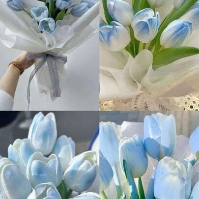 Hoa tulip nhân tạo màu xanh với nét chân thực, dưới dạng bó hoa nhân tạo. Thích hợp cho việc sắp xếp đám cưới, bó hoa cô dâu tự làm và trang trí phòng, nhà hàng, bếp, phòng khách, phòng ngủ và nhà ở. Có thể dùng làm quà tặng cho sinh nhật, ngày lễ tình nhân, ngày của mẹ, ngày của cha và trong mùa tốt nghiệp.