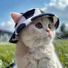 Summer Pet Bucket Hat Sun Hat Dog Hat Cat Headdress With Adjustable Length, Suitable For Small And Medium-Sized Cats And Dogs - Multicolor - View 5