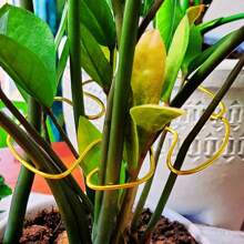 1pc Metal Turtle Shell Leaf Shaped Plant Support Rack - Durable Monster Clip, Unique Design Fit For Climbing Plants, Tortoise Shell Bamboo Clamp, Ideal Plant Support For Healthy Growth