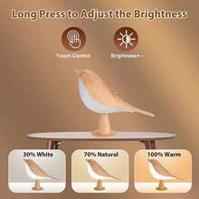 Creative Touch Switch Table Night Lamp 3 Color Dimmable Bedroom Nightstand Lamp Bird Shape Rechargeable Led Night Light Decorative Home - 3 Colors - View 12