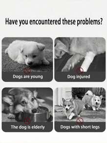 Escaliers pour animaux de compagnie réglables haut de gamme conçus pour les chiens et les chats - avec une base antidérapante et une housse amovible pour un nettoyage facile, solution de montée pratique pour tous les âges