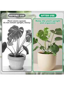 4 包耐用植物支撑夹：坚固的攀缘植物茎夹 - 塑料材质