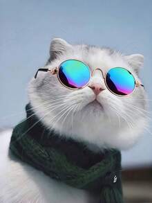 Pet Mini Stylish Sunglasses + Anti-Slip Strap Set, Pet Fashion Accessory, Multi-Color Pet Glasses Suitable For Small/Medium Cats & Dogs, Holiday & Birthday Costume, Photo Prop - Multicolor - View 4