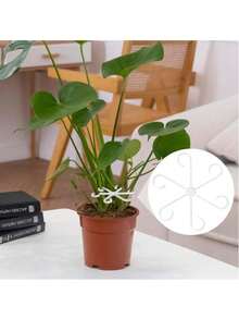 4 包耐用植物支撑夹：坚固的攀缘植物茎夹 - 塑料材质