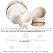 100/50个纸盘，日常使用沙拉盘，蛋糕盘，烧烤盘，微波炉适用，适用于婚礼，家庭聚会，自助餐，夏季泳池派对，生日派对，返校，可堆肥甘蔗纸盘，一次性盘子