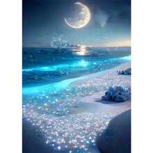5D钻石画套装“月光海滩”：入门级，30x40厘米，闪亮家居装饰工艺品