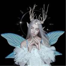 1 Piece Of Fairy Wings Adult Fairy Costume Butterfly Fairy Wings Role-Playing Costume Accessory - Multicolor - View 10