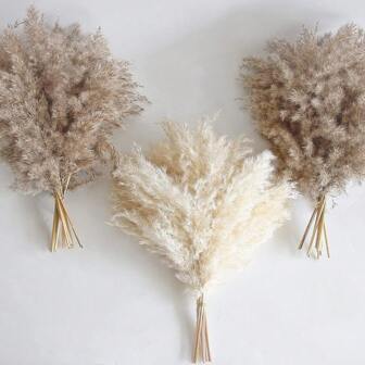 20/30pcs Dried Pampas Grass Bouquet, White Flowers, Bohemian Style Home Decor Bouquet, Reed Dried Flowers, Room Decor, Home Decor, Bedroom Decor, Wedding Decor, Wedding Supplies, Office Decor, Cafe Decor, Valentine's Day Gift | Halloween, Christmas, Christmas Decorations, Room Decor, Bedroom Decor, Gift