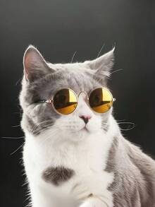 Pet Mini Stylish Sunglasses + Anti-Slip Strap Set, Pet Fashion Accessory, Multi-Color Pet Glasses Suitable For Small/Medium Cats & Dogs, Holiday & Birthday Costume, Photo Prop - Multicolor - View 5