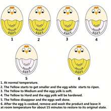 1個顏色變化蛋計時器-利用敏感指示器精確測量軟、硬煮雞蛋