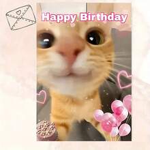 1pc Funny Birthday Card With Envelope (4.33*6.29) - Cute Kitten Design - Best Birthday Wishes - Unique & Creative Greeting Card - Ideal For Pet Owners, Cat/Dog Lovers, Friends, Parents, Sons & Daughters - Suitable For Anyone - Occasion: Birthday - Multicolor - View 1