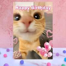 1pc Funny Birthday Card With Envelope (4.33*6.29) - Cute Kitten Design - Best Birthday Wishes - Unique & Creative Greeting Card - Ideal For Pet Owners, Cat/Dog Lovers, Friends, Parents, Sons & Daughters - Suitable For Anyone - Occasion: Birthday - Multicolor - View 5