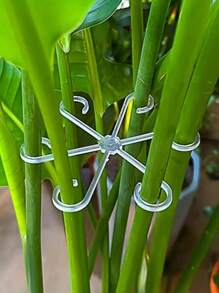 4 Packs Of Durable Plant Support Clips,Plant Support Fasteners,Sturdy Stem Clamps For Climbing Plants - Plastic Material,Or Indoor Climbing Plants, Plant Supports(Random Color)