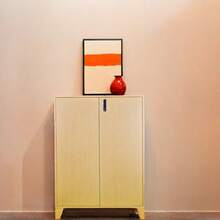 Iron Locker Shoe Rack Shelf Dustproof Shoe Cabinet Living Room Hallway Bedroom 80X32X105CM Interesting - Multicolor - View 6