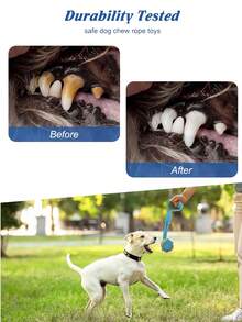 5件套豪华小狗玩具，狗玩具，适合出牙的小狗，小狗咀嚼玩具，带有可爱的吱吱叫的狗玩具，球和更多绳索小狗玩具，适合小型犬浅蓝色，这些玩具是送给宠物主人的理想生日礼物， - 彩色 - 查看 3