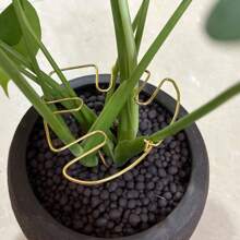 1pc Metal Turtle Shell Leaf Shaped Plant Support Rack - Durable Monster Clip, Unique Design Fit For Climbing Plants, Tortoise Shell Bamboo Clamp, Ideal Plant Support For Healthy Growth