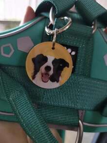 Thẻ định danh thú cưng tùy chỉnh, có thể sử dụng ảnh và tên thú cưng, bao gồm thẻ định danh chó, thẻ tên chó, thẻ định danh thú cưng, thẻ chó cá nhân hóa, thẻ định danh mèo, thẻ đeo cổ cho chó, thẻ cho mèo. - Nhiều màu - Xem 4