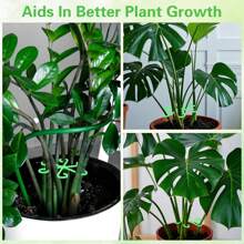 4 Packs Of Durable Plant Support Clips,Plant Support Fasteners,Sturdy Stem Clamps For Climbing Plants - Plastic Material,Or Indoor Climbing Plants, Plant Supports(Random Color)