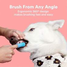 1PC Popular Dog Toothbrush, 360 ° Dog Toothbrush Kit, Cat Toothbrush, Dog Tooth Cleaning, Dog Finger Toothbrush, Small And Large Pet Dog Toothbrush,