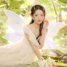 1 Piece Of Fairy Wings Adult Fairy Costume Butterfly Fairy Wings Role-Playing Costume Accessory - Multicolor - View 5