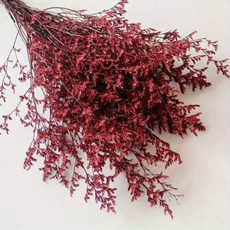 9pcs Bohemian Style Dried Lover's Grass Bouquet - Perfect For Weddings, Birthdays, Home Decor & Mother's Day Gift Christmas Decor