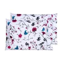 Single Sheet Set With 2 Pieces Printed Cotton Fabric With Elastic All Around And Pillowcase In Matchstick Stitch - Creamy White - View 1